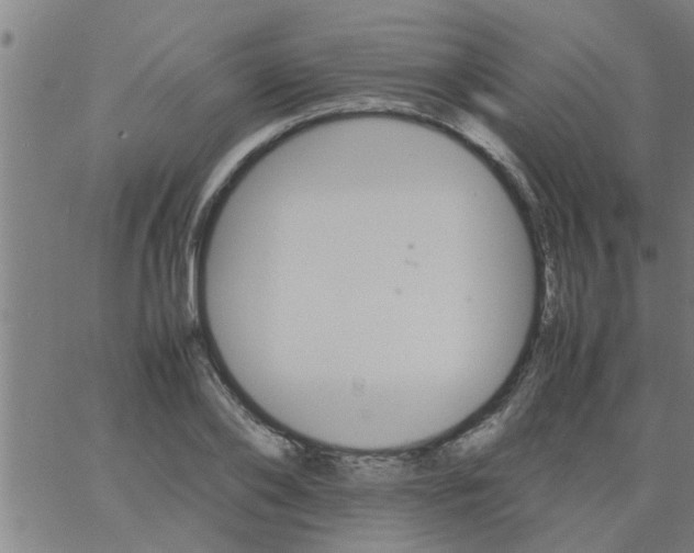 X0000066540886200603311842