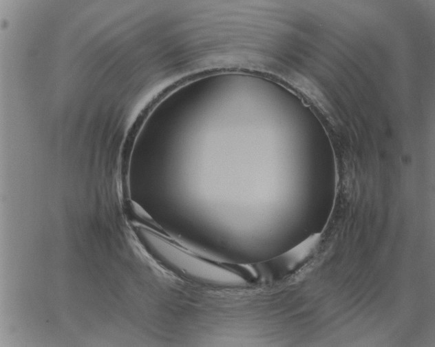 X0000066540888200603311842