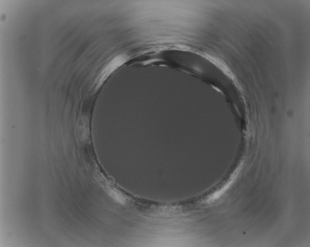 X0000066540889200603311842