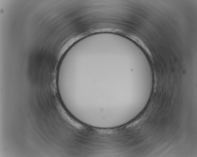 X0000066540890200603311842