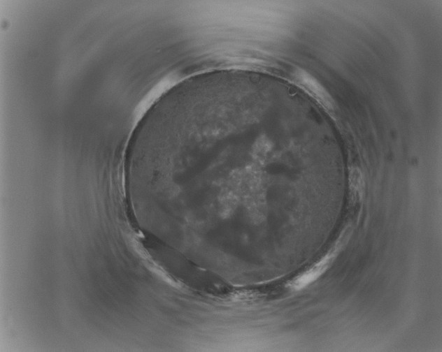 X0000066540891200603311842