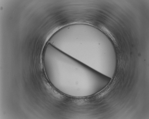 X0000066540892200603311842