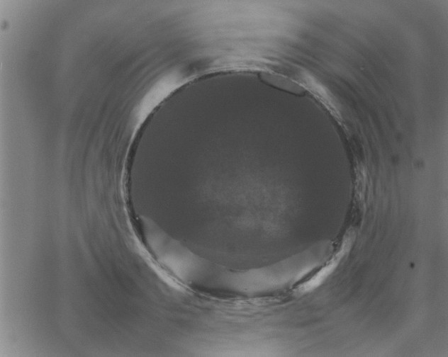 X0000066540893200603311842