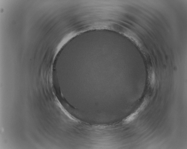 X0000066540894200603311842