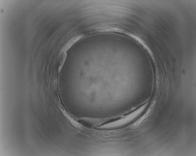 X0000066540897200603311842