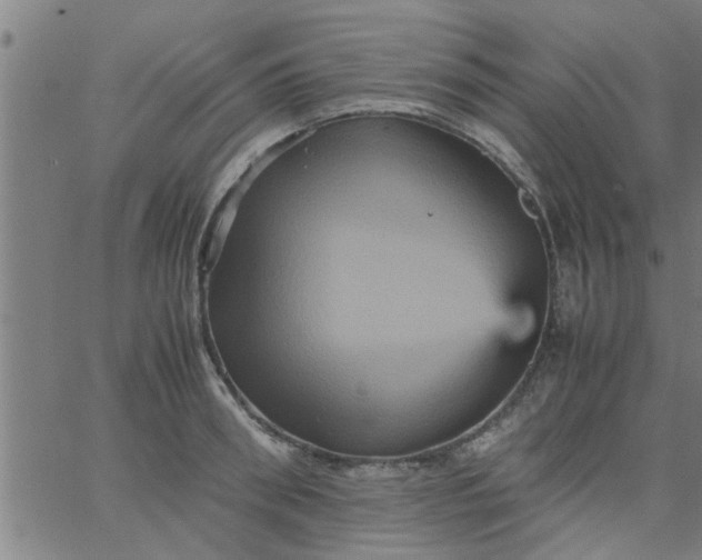 X0000066540898200603311842