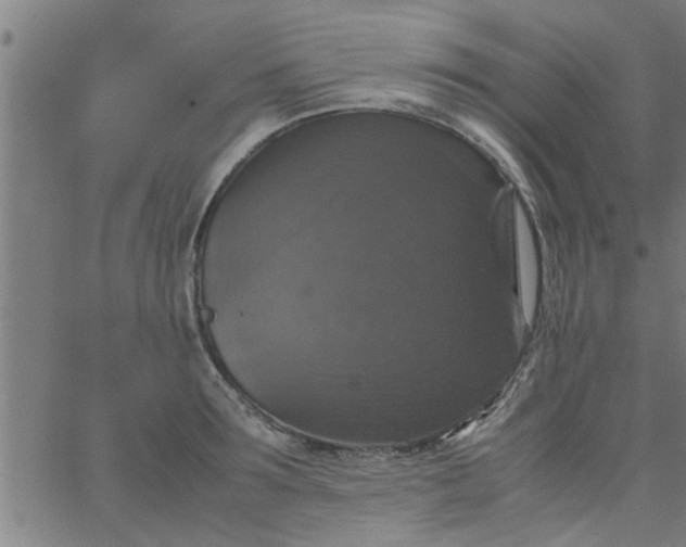 X0000066540899200603311842