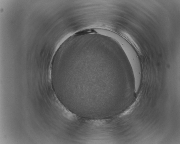 X0000066540900200603311842