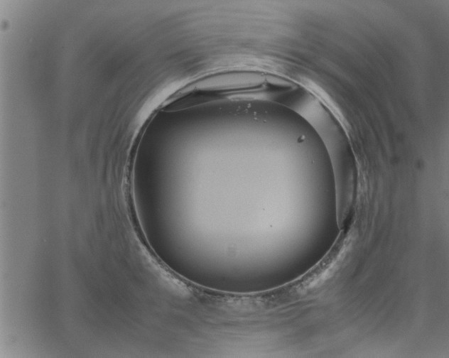 X0000066540901200603311842