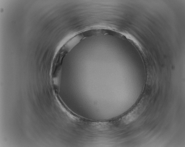 X0000066540902200603311842