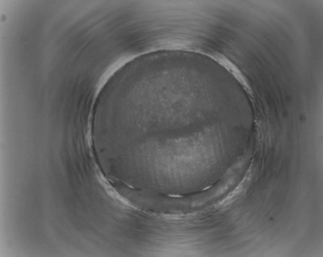 X0000066540904200603311842