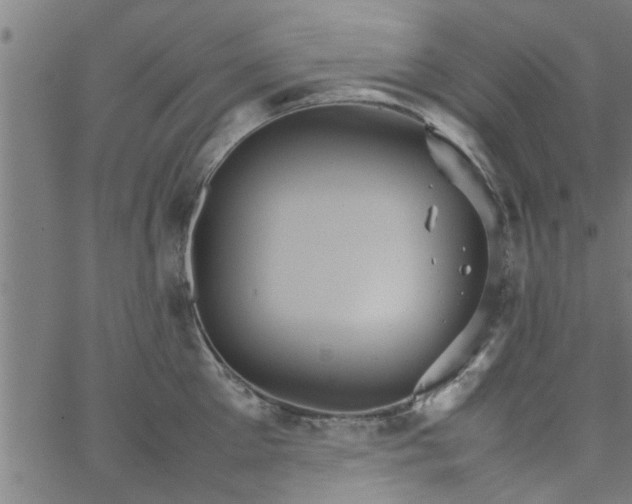 X0000066540905200603311842