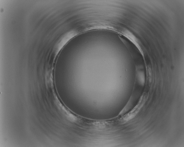 X0000066540906200603311842