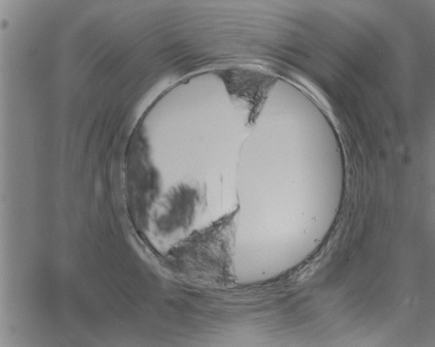 X0000066540907200603311842