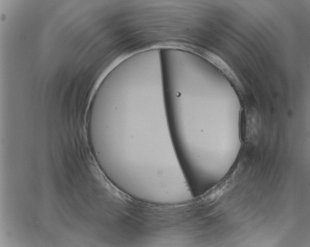 X0000066540908200603311842