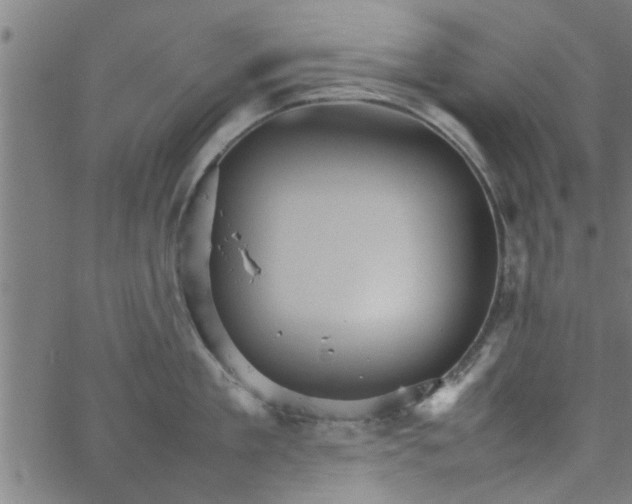 X0000066540909200603311842