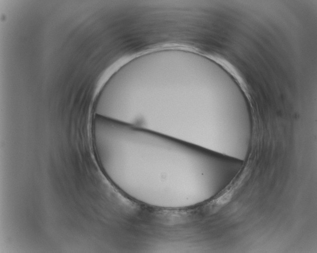 X0000066540910200603311842