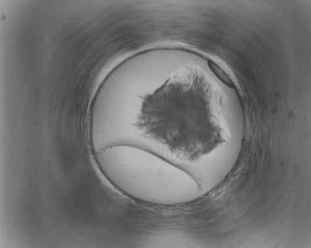 X0000066540911200603311842