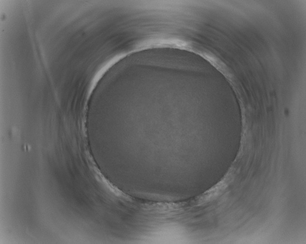 X0000066540912200603311842