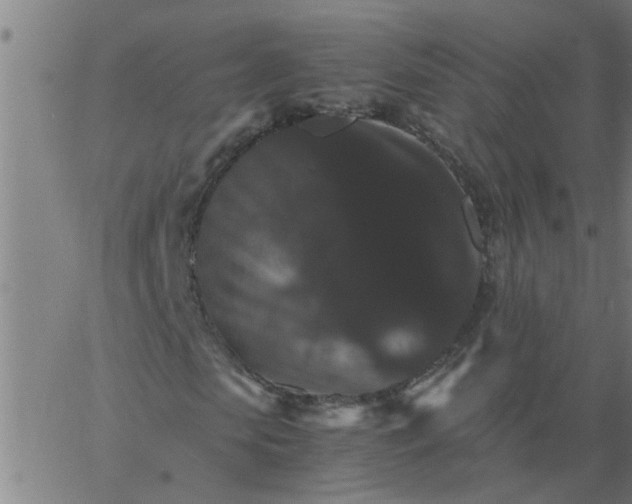 X0000066540913200603311841