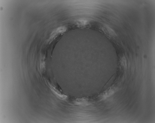 X0000066540914200603311841