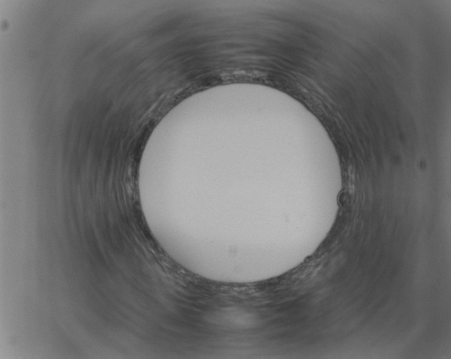 X0000066540915200603311841