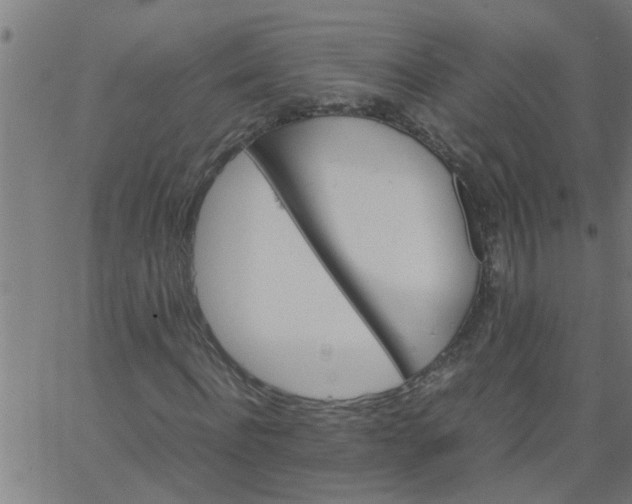 X0000066540916200603311841