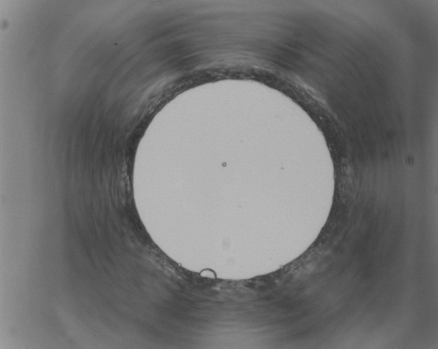 X0000066540918200603311841