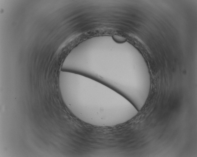 X0000066540919200603311841