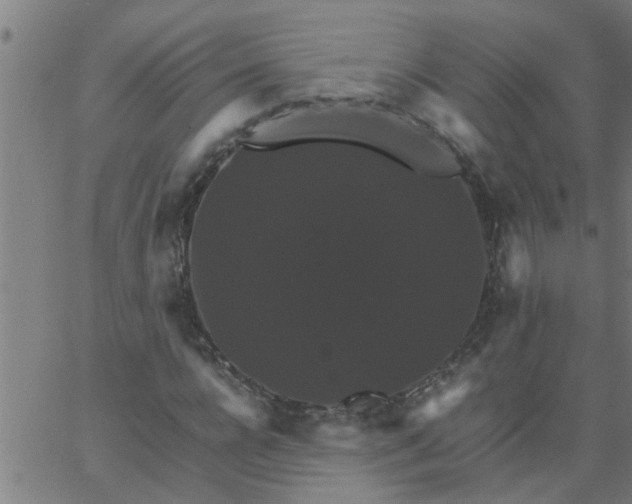 X0000066540920200603311841