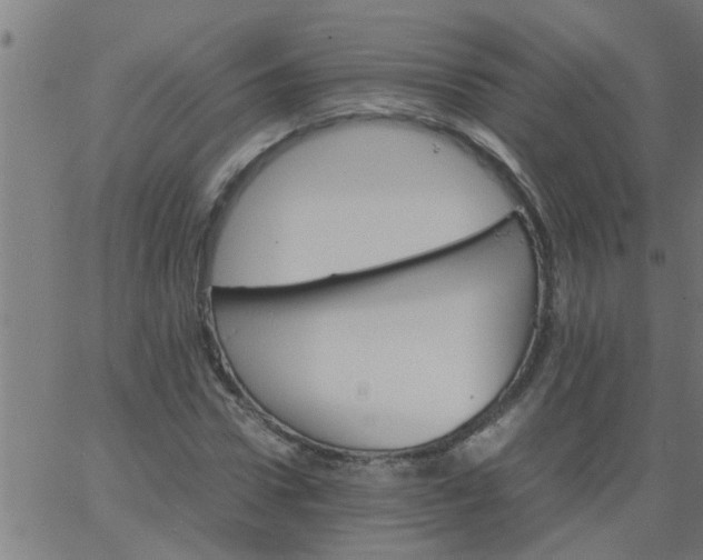 X0000066540922200603311841