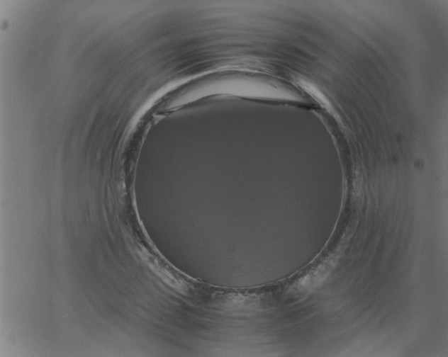 X0000066540923200603311841