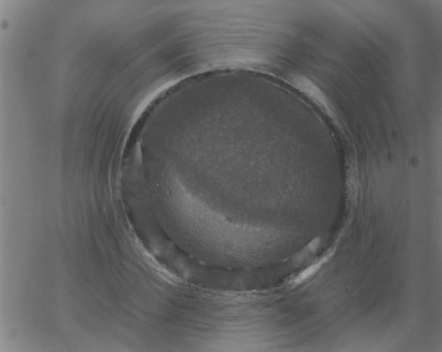 X0000066540924200603311841