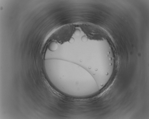 X0000066540925200603311841