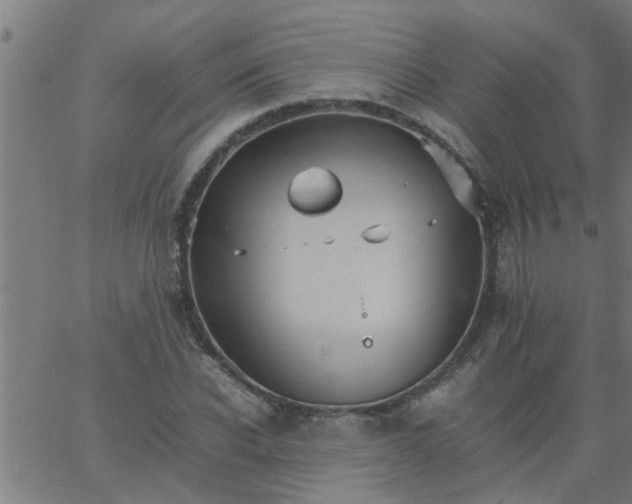 X0000066540926200603311841