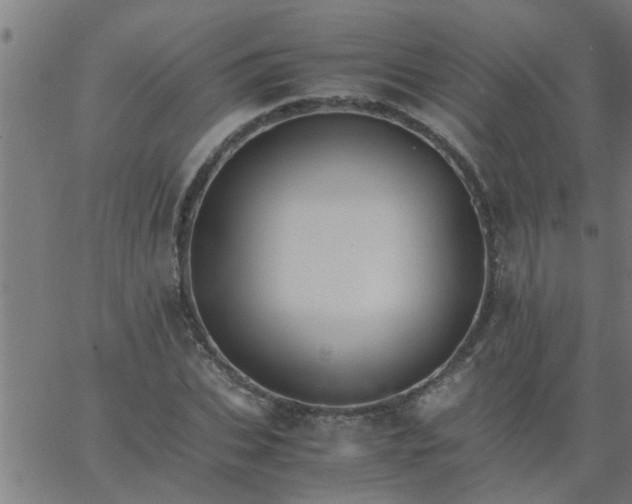 X0000066540927200603311841