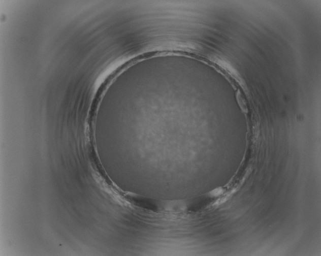 X0000066540928200603311841