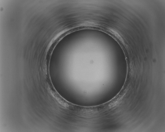 X0000066540931200603311841