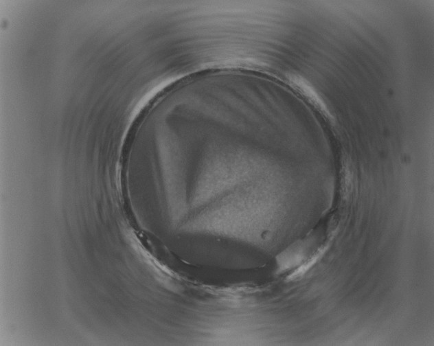 X0000066540932200603311841