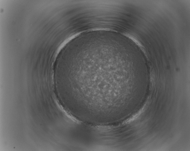 X0000066540933200603311841