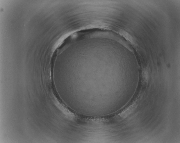 X0000066540934200603311841