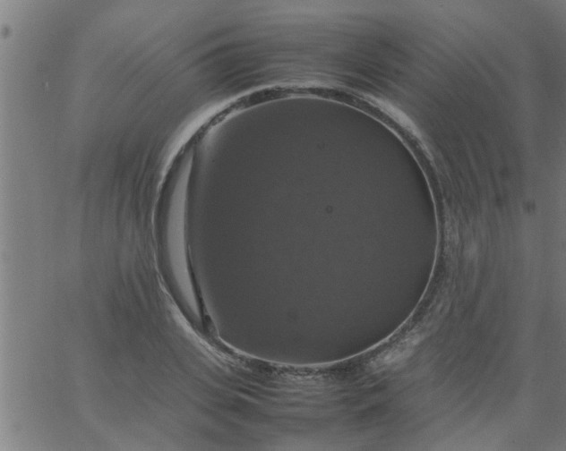 X0000066540935200603311841