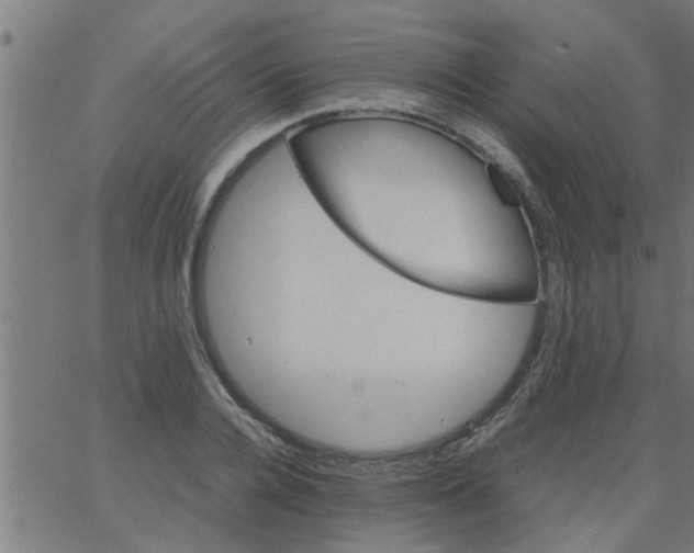 X0000066540936200603311841