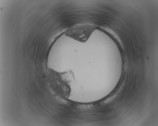 X0000066540937200603311841