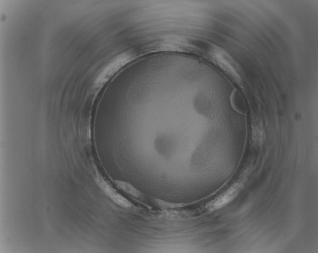 X0000066540938200603311841