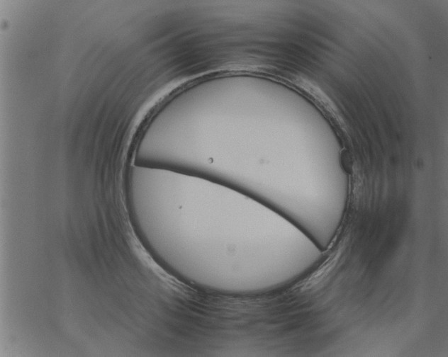 X0000066540939200603311841