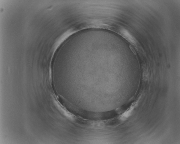 X0000066540940200603311841