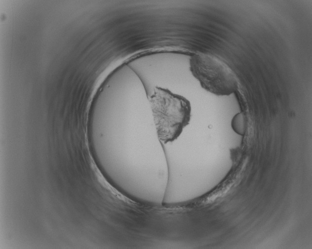 X0000066540941200603311841