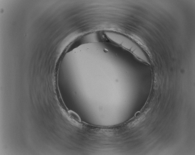 X0000066540942200603311841