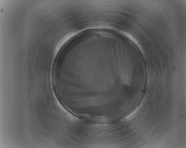 X0000066540943200603311841